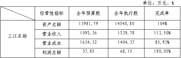 主要经营指标完成情况