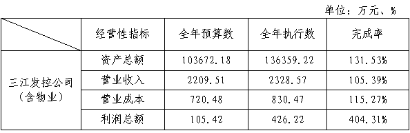 主要经营指标完成情况