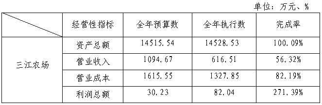 主要经营指标完成情况